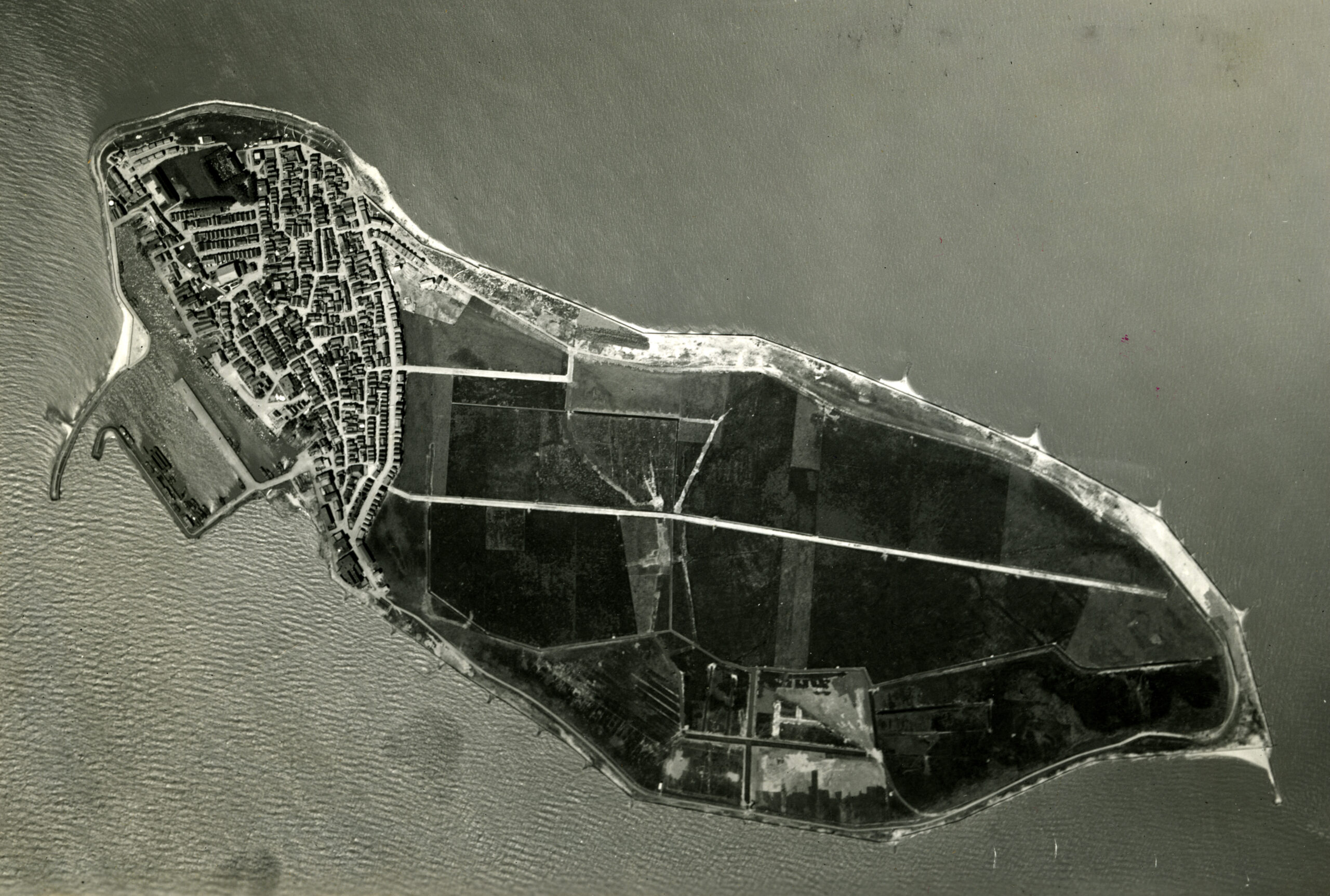 41634842260 2a01786890 O Scaled